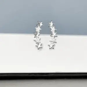 Brincos Senda Celeste em prata 925